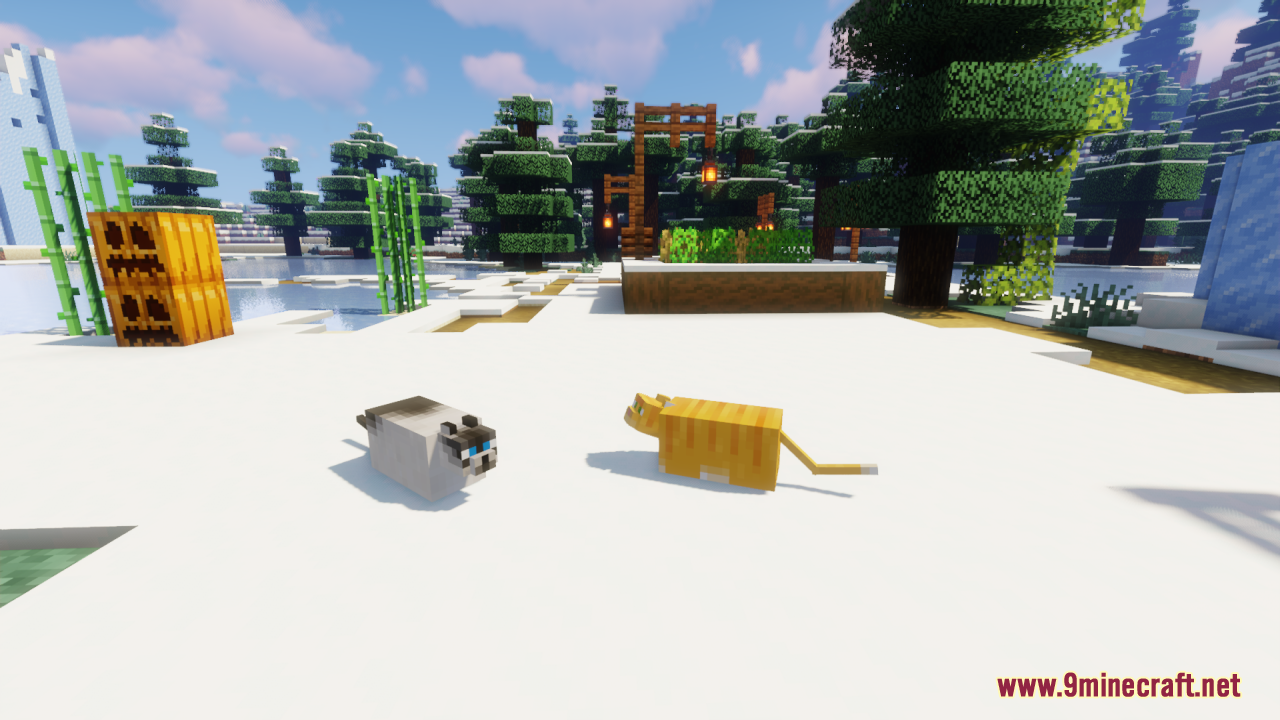 Fat Cats Resource Pack (26.1.2, 1.20.1) – Texture Pack 10 Fat cats screenshots 9