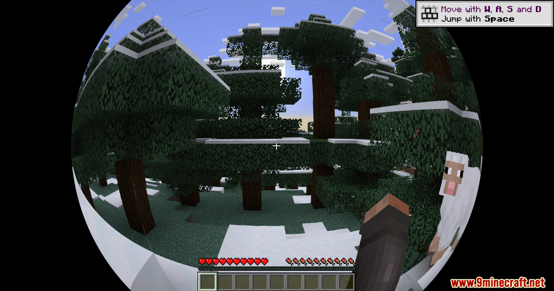Fisheye Shaders (26.1.2, 1.20.1) – Warp Your View 2 Fisheye shaders screenshots 1