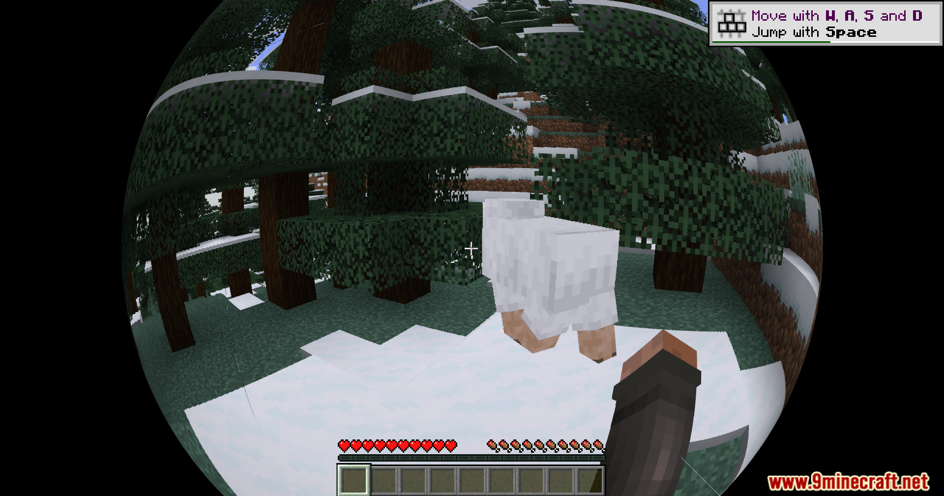 Fisheye Shaders (26.1.2, 1.20.1) – Warp Your View 3 Fisheye shaders screenshots 2