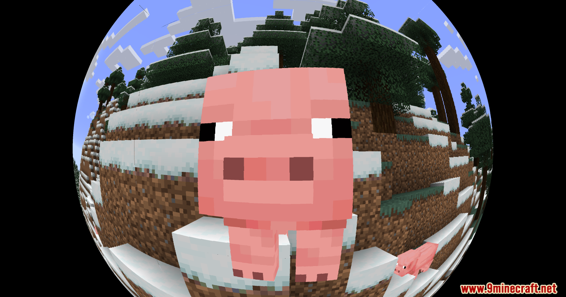 Fisheye Shaders (26.1.2, 1.20.1) – Warp Your View 9 Fisheye shaders screenshots 8