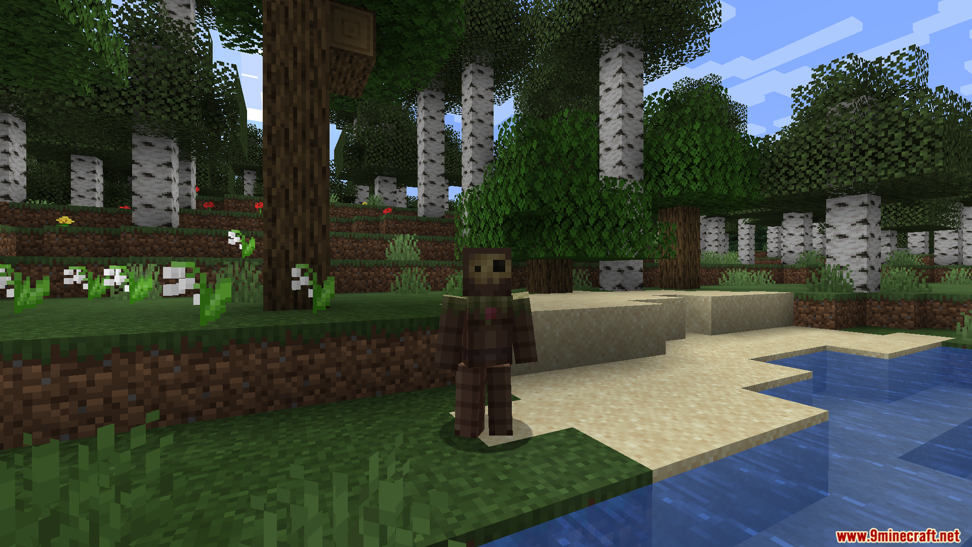 Fresh Animations: Player Extension Resource Pack – Texture Pack (26.1.2 ...