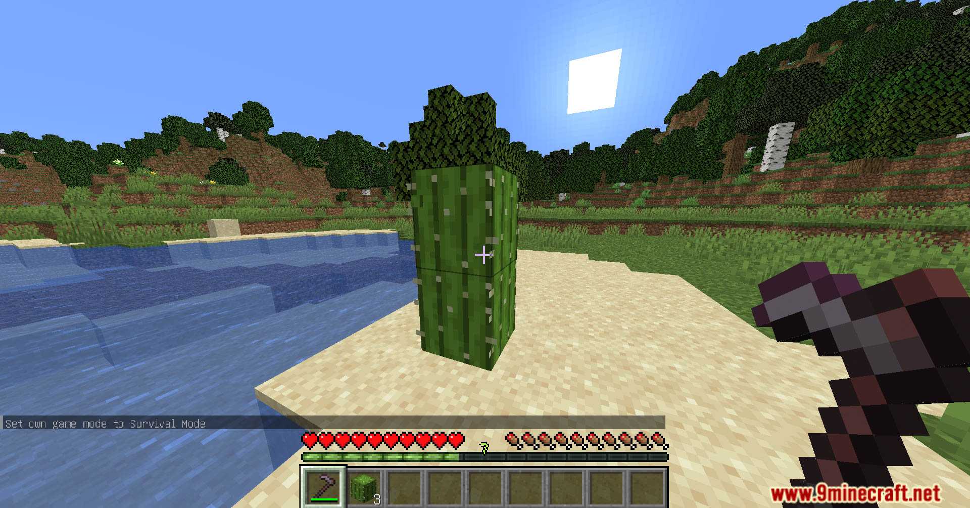 Hoe effective cactus data pack screenshots 4