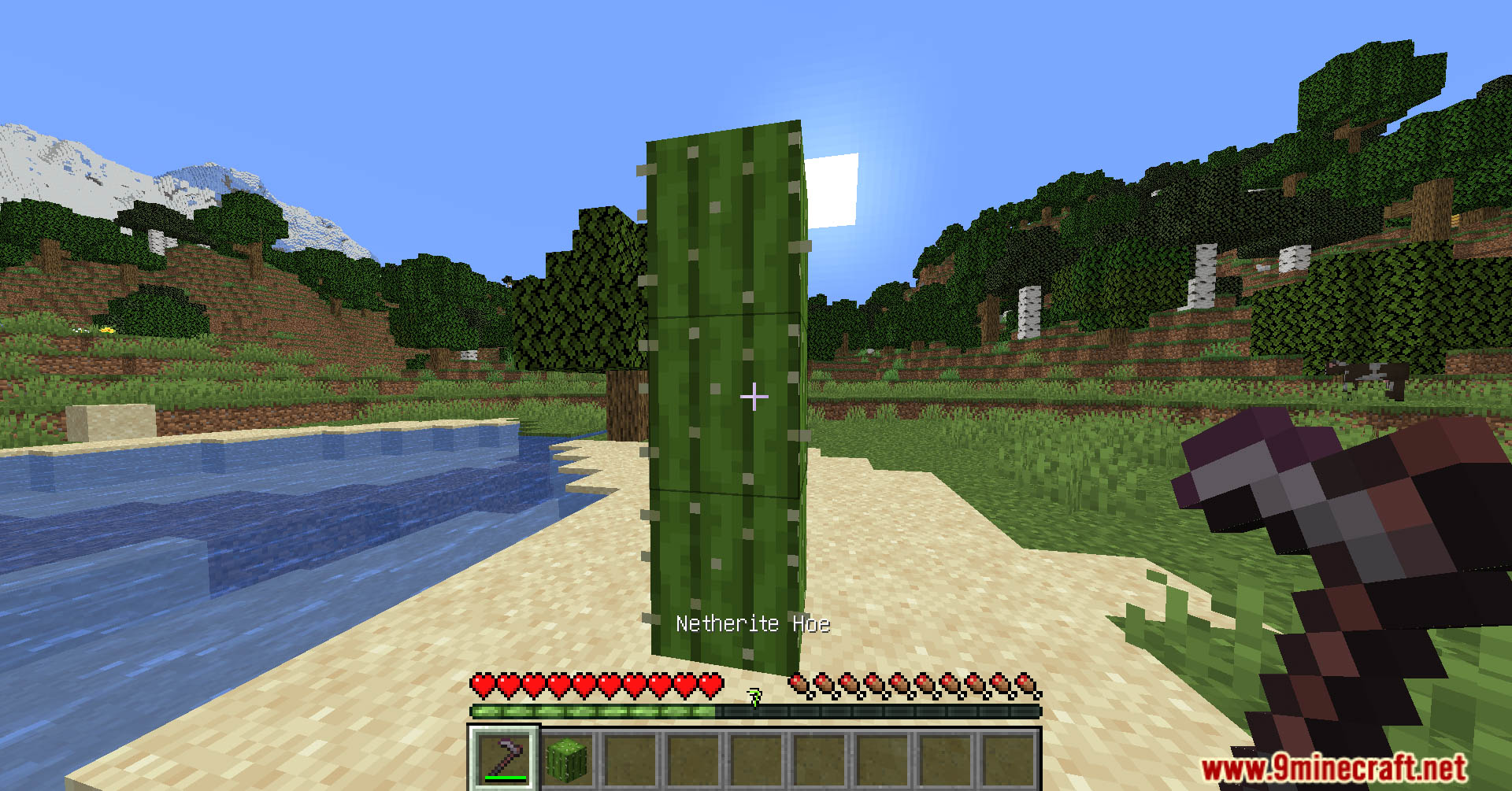 Hoe effective cactus data pack screenshots 7