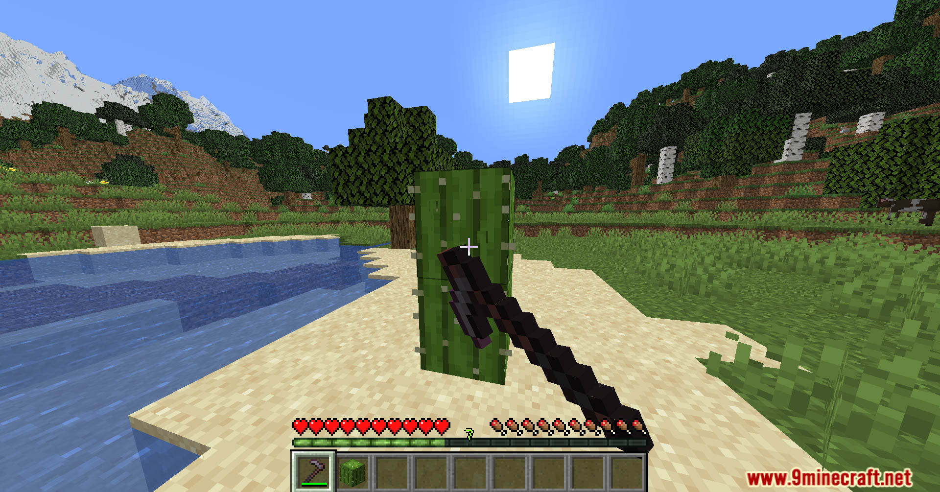 Hoe effective cactus data pack screenshots 8
