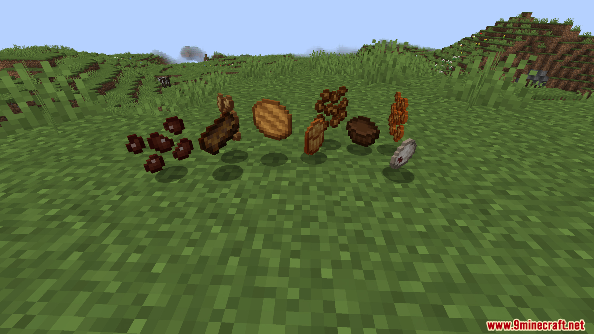 Various new food items from legume delight mod on the ground