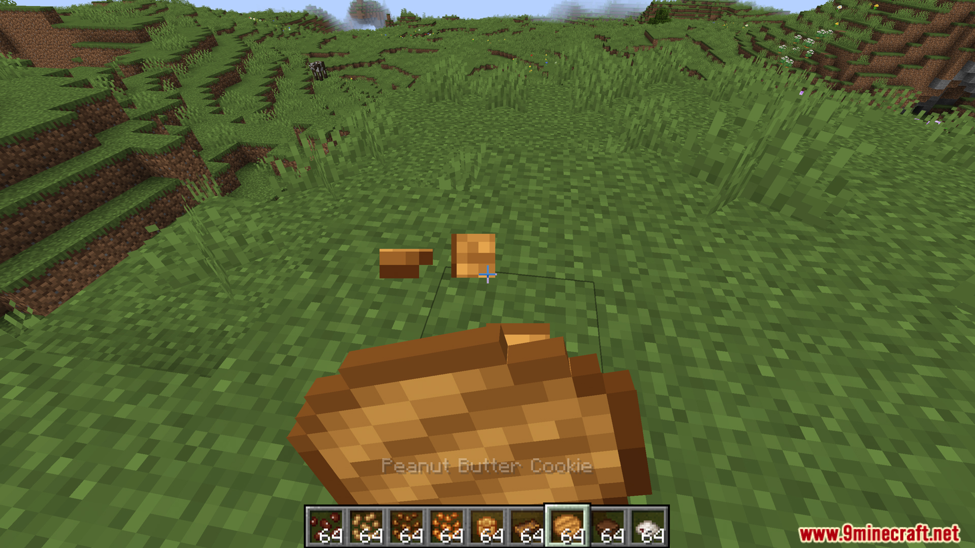 Close up of player holding a peanut butter cookie in game