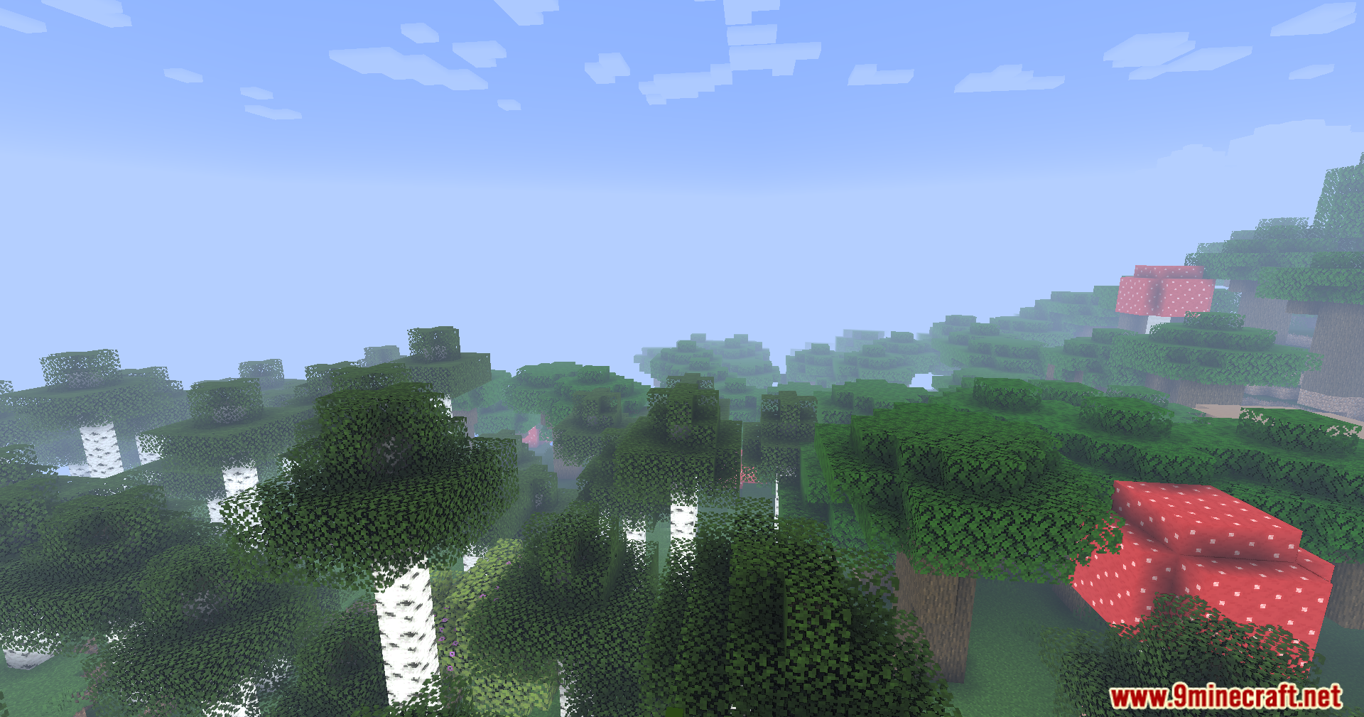 Liquorice Shaders (26.1.2, 1.20.1) – Fast And Clean Visuals 2 Liquorice shaders screenshots 1