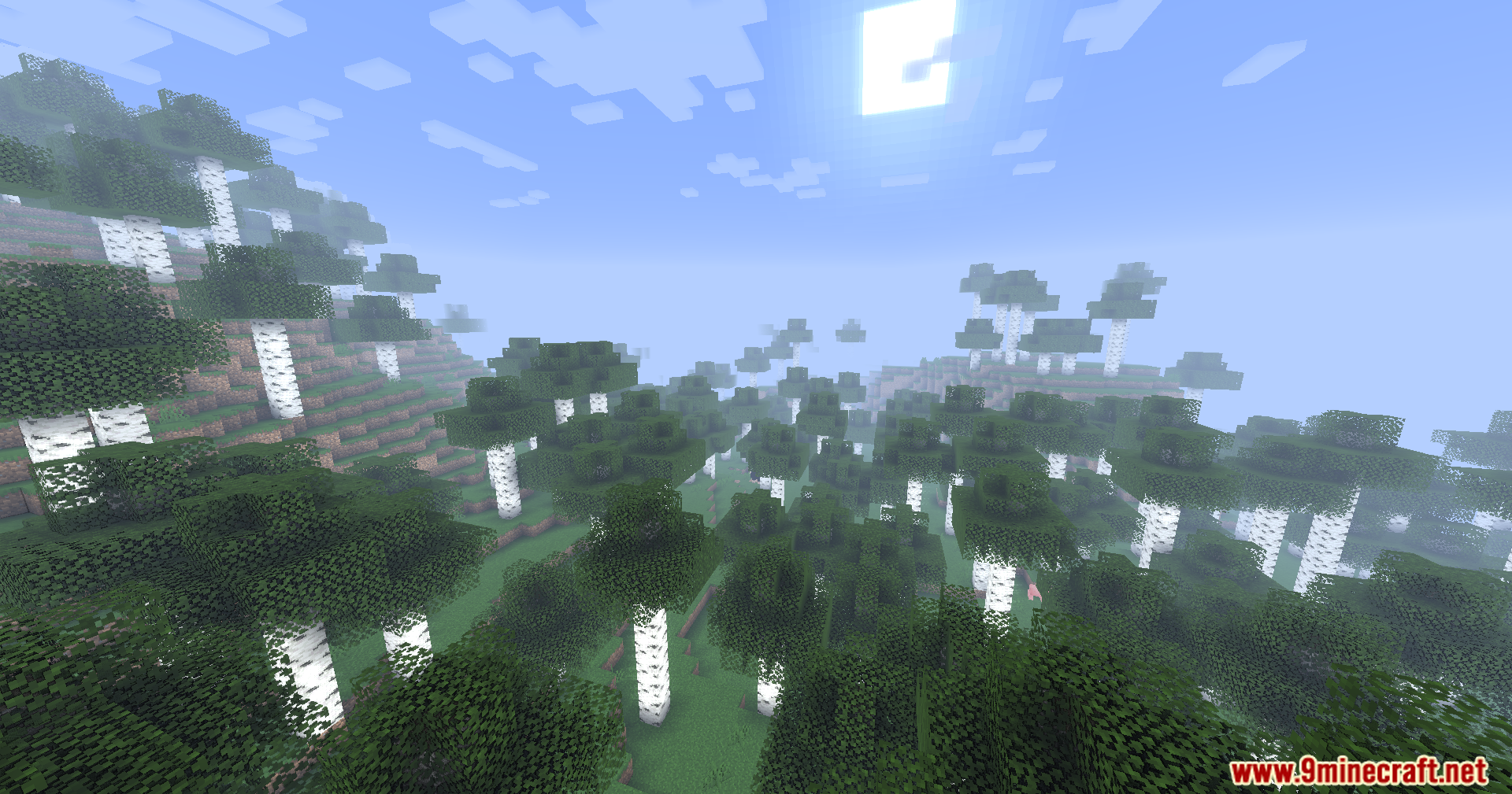 Liquorice Shaders (26.1.2, 1.20.1) – Fast And Clean Visuals 3 Liquorice shaders screenshots 2