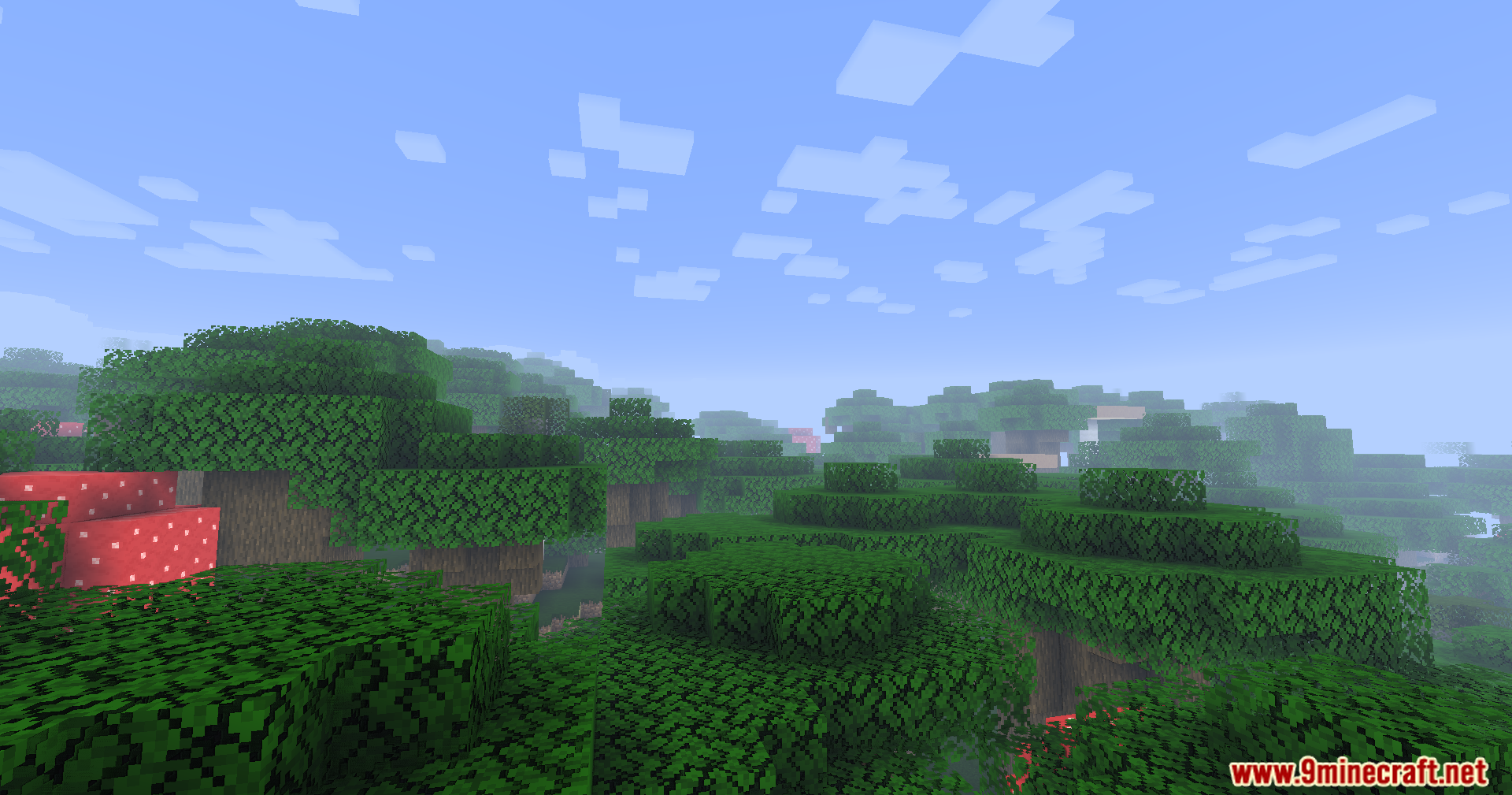 Liquorice Shaders (26.1.2, 1.20.1) – Fast And Clean Visuals 6 Liquorice shaders screenshots 5