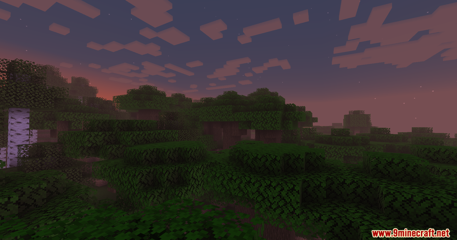 Liquorice Shaders (26.1.2, 1.20.1) – Fast And Clean Visuals 7 Liquorice shaders screenshots 6