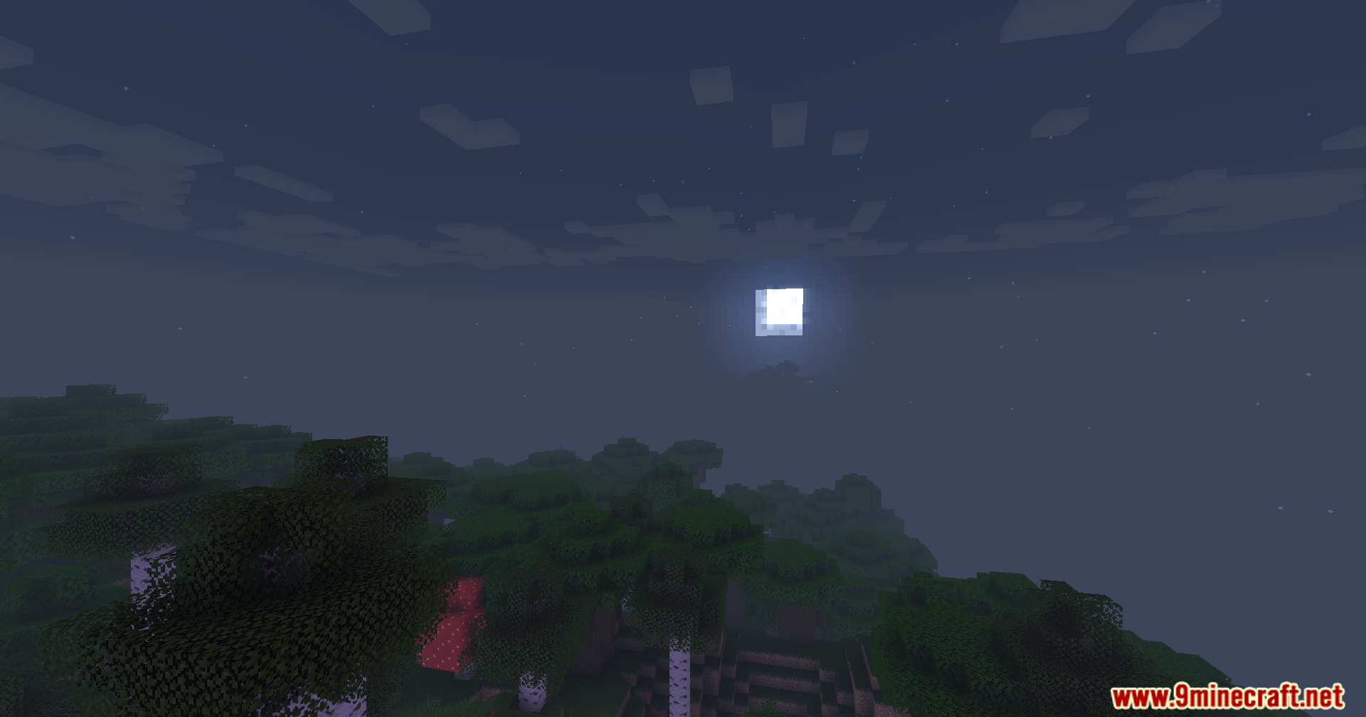 Liquorice Shaders (26.1.2, 1.20.1) – Fast And Clean Visuals 9 Liquorice shaders screenshots 8