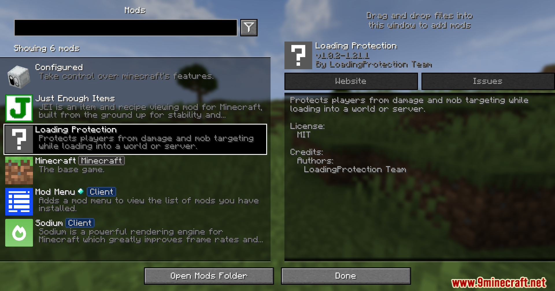 Loading Protection Mod (1.21.1, 1.20.1) – Stops Damage While Joining Worlds 2 Loading protection mod details in the minecraft mods menu