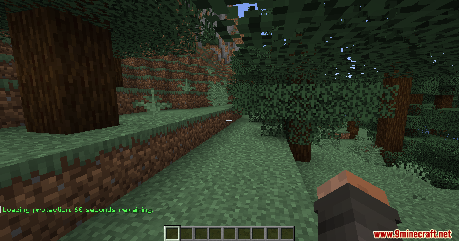 Loading Protection Mod (1.21.1, 1.20.1) – Stops Damage While Joining Worlds 3 Chat message showing sixty seconds of loading=