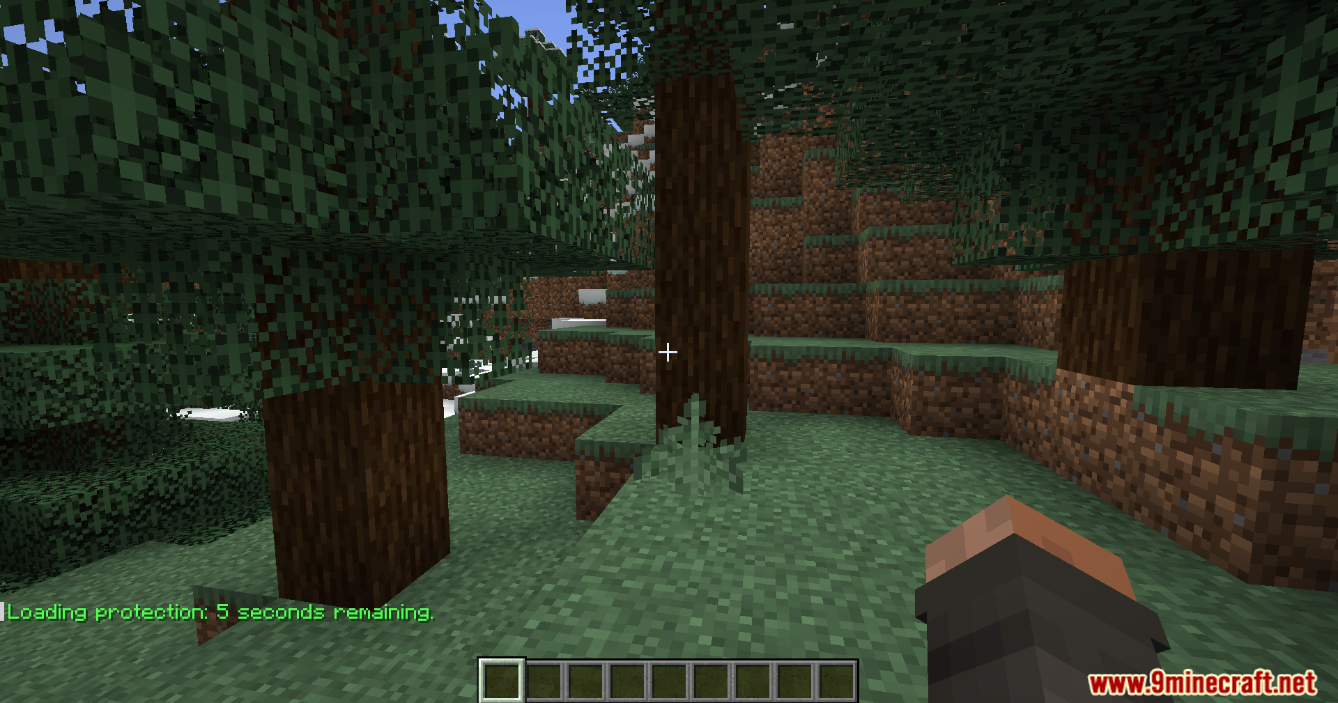 Loading Protection Mod (1.21.1, 1.20.1) – Stops Damage While Joining Worlds 8 Chat message showing 5 seconds of loading=