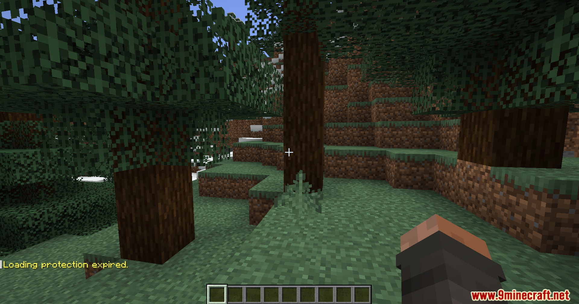 Loading Protection Mod (1.21.1, 1.20.1) – Stops Damage While Joining Worlds 9 Chat message indicating that loading=
