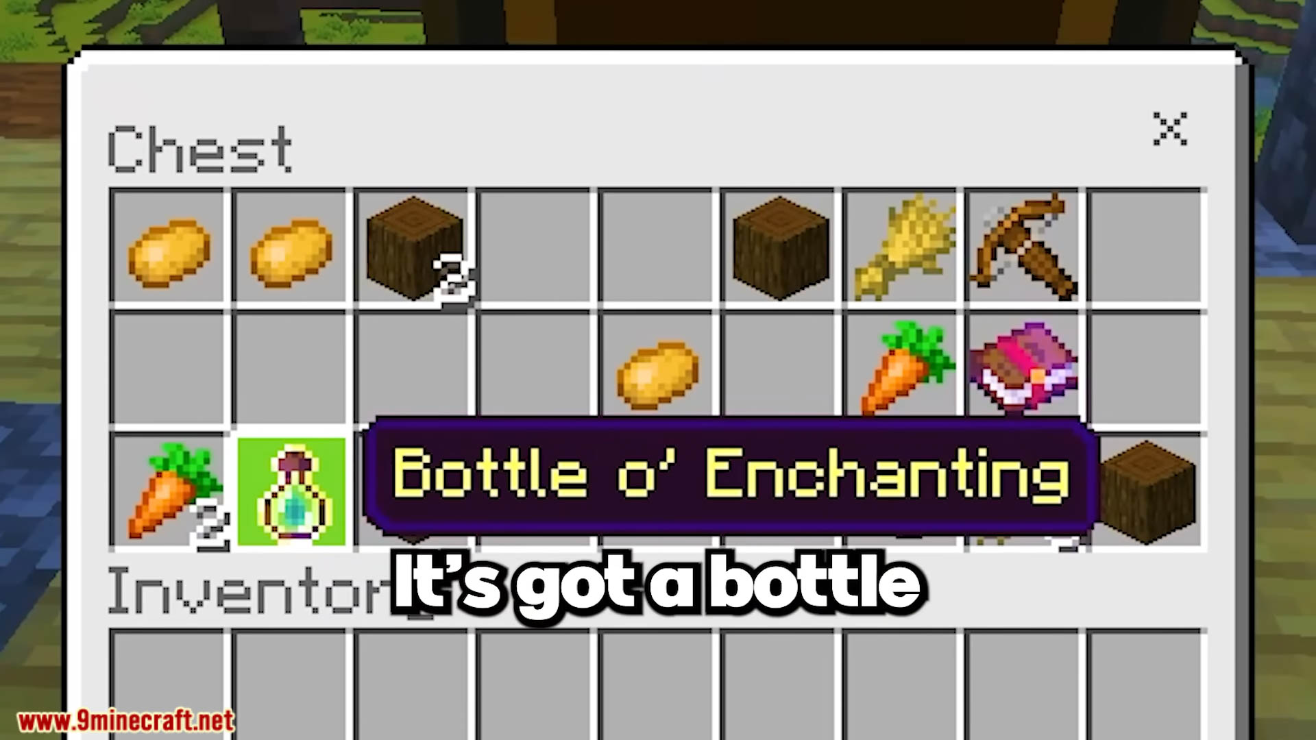 New Best Seeds Ever For Minecraft (1.21.11, 1.21.1) – Bedrock Edition