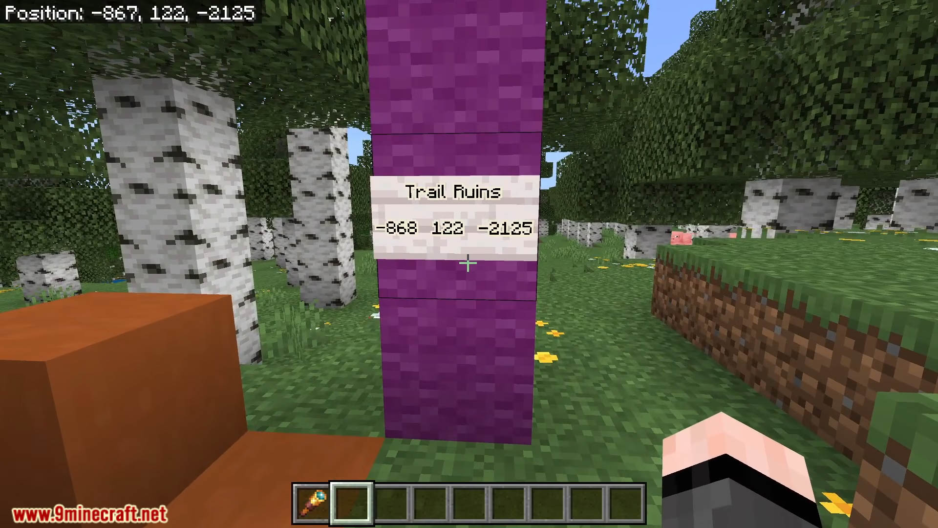 New Perfect Spawn Seeds For Minecraft (26.1.1, 1.21.1) – Bedrock Edition 30 New perfect spawn seeds for minecraft screenshots 29