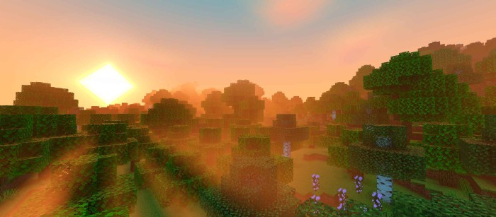 Newb x dragon shader mcpe 11
