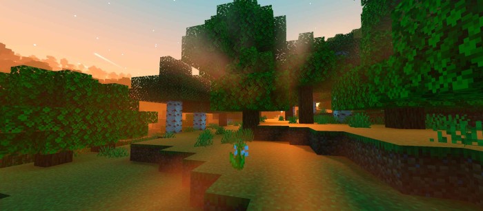 Newb x dragon shader mcpe 12