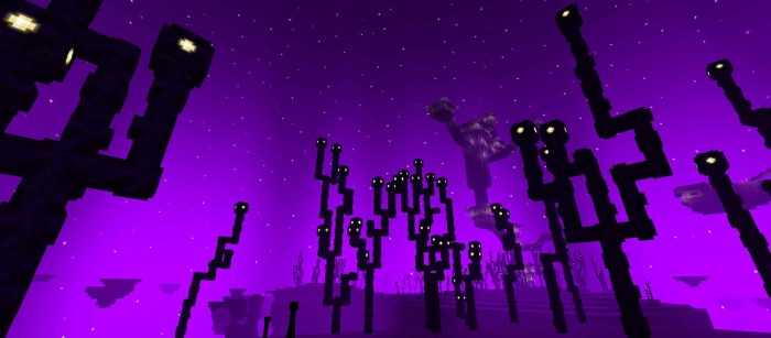 Newb x dragon shader mcpe 16