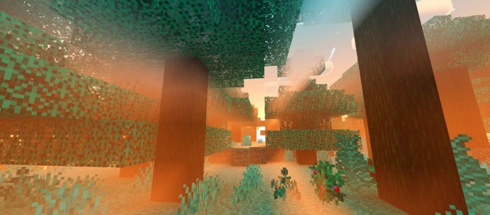 Newb x dragon shader mcpe 2