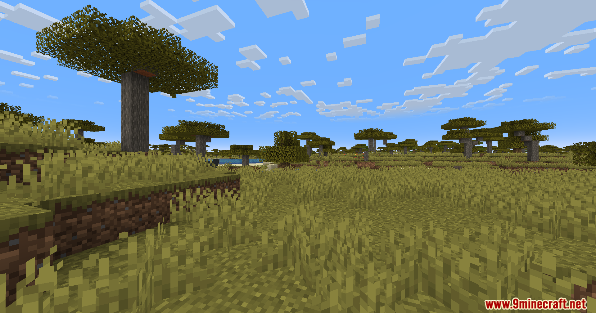 Night Mode Shaders (1.21.11, 1.20.6) – Adjustable Environment Tint 3 Night mode shaders screenshots 2