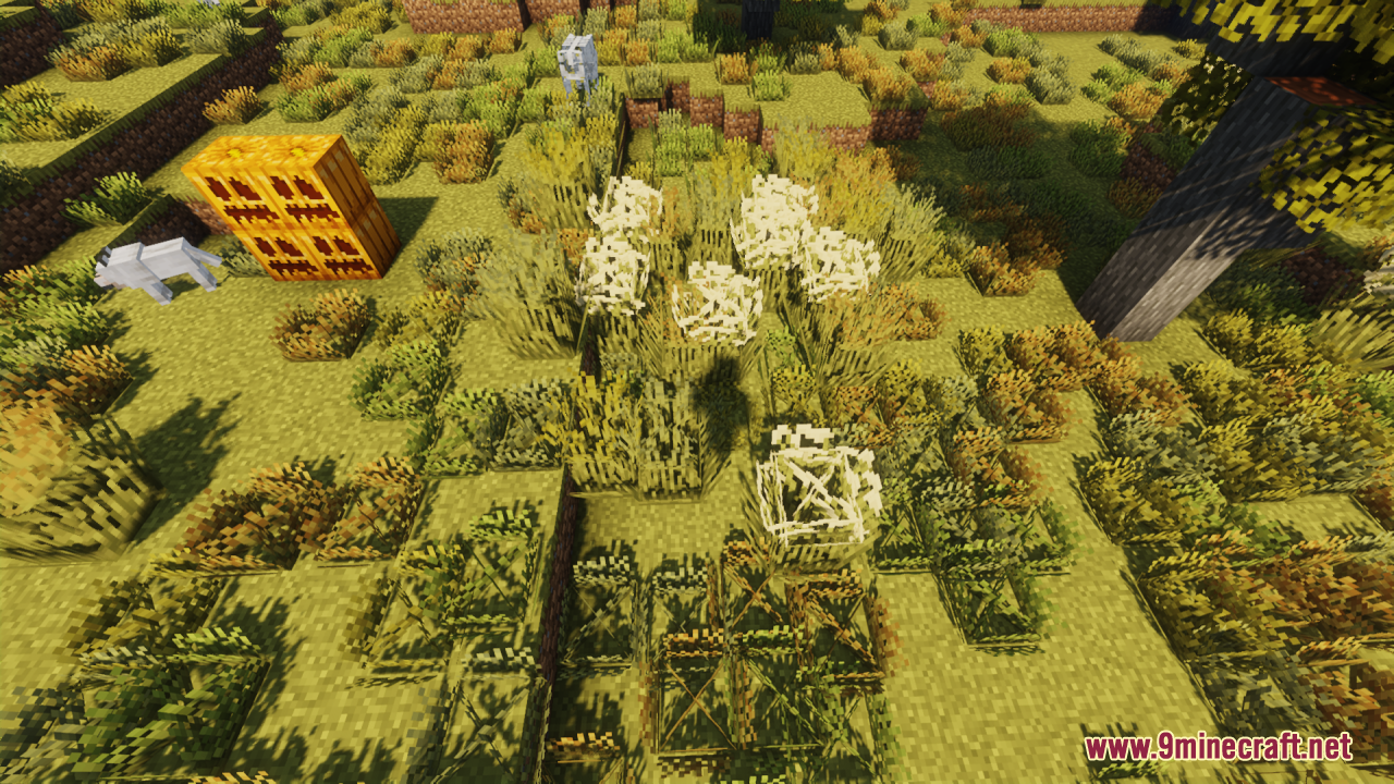 Os’ Colorful Grasses Resource Pack (26.1.2, 1.20.1) – Texture Pack