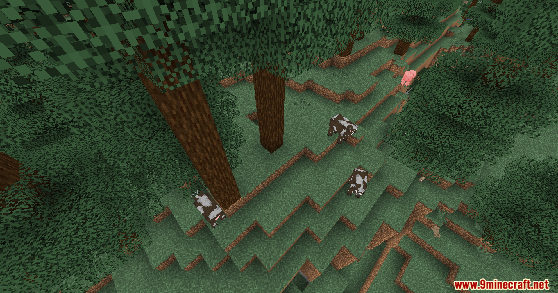 Outlines Shaders (26.1.2, 1.20.1) – Soft White Outlines Around Objects 11 Outlines shaders screenshots 10