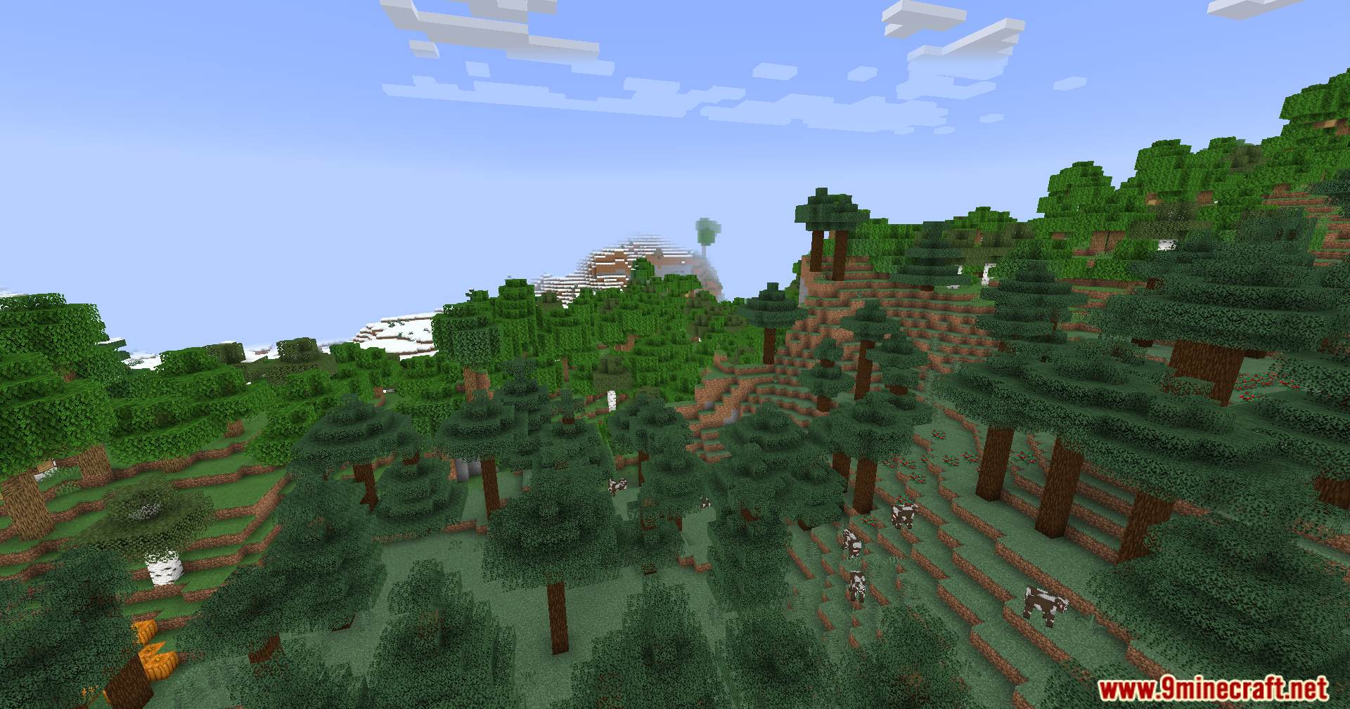 Outlines Shaders (26.1.2, 1.20.1) – Soft White Outlines Around Objects 10 Outlines shaders screenshots 9