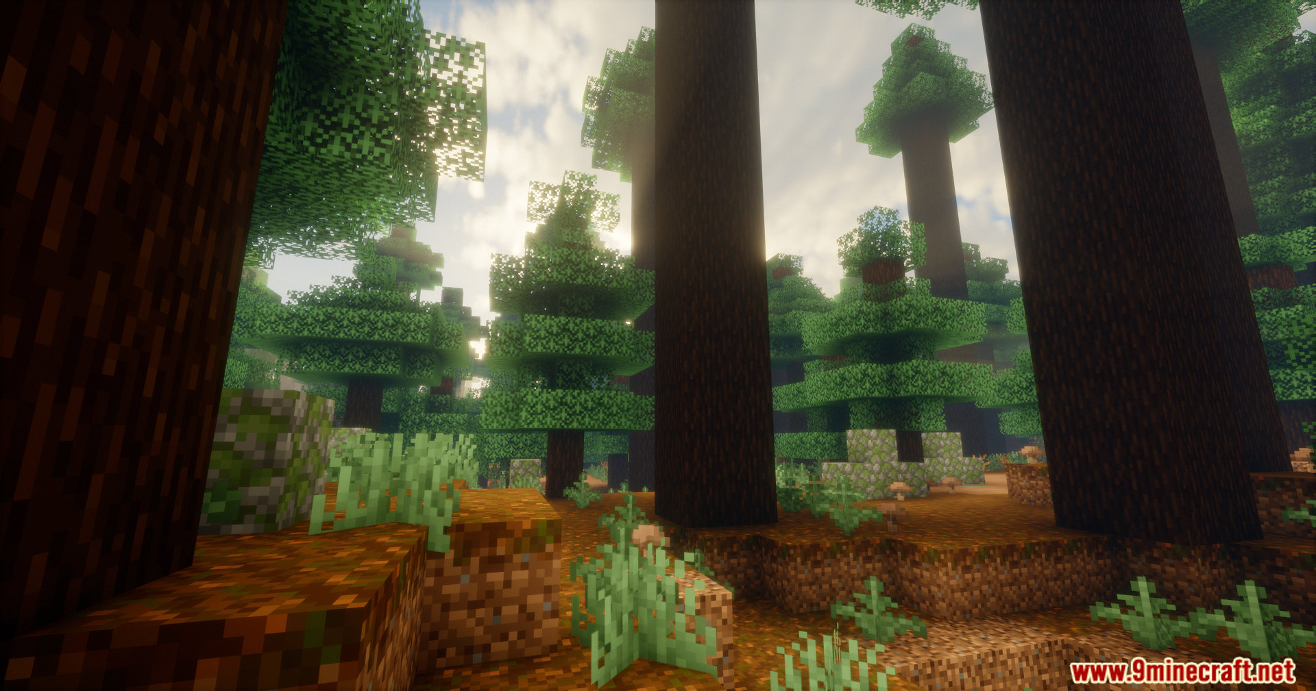 Peak’s Shaders (26.1.2, 1.20.1) – Color Manipulation Effects 2 Peaks shaders screenshots 1