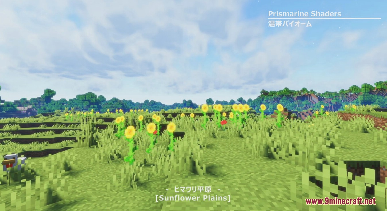 Prismarine Shaders (26.1.2, 1.20.1) – A Bsl Edit Shader 7 Prismarine shaders screenshots 6