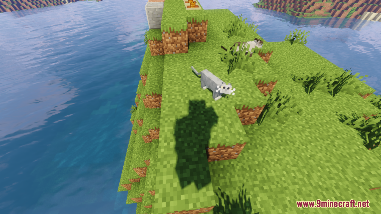 Realistic cats screenshots 4