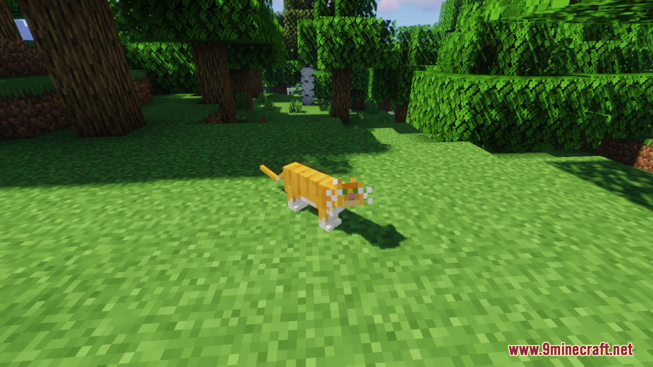 Realistic cats screenshots 7