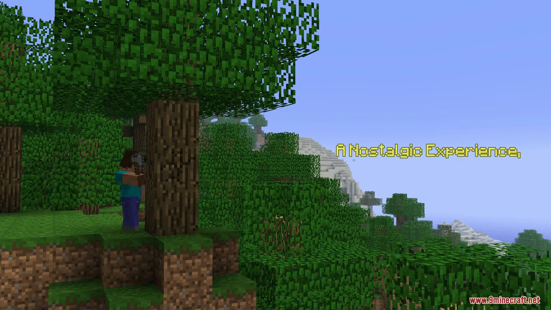 Reminiscence Modpack (1.20.1) – Back In Beta 1.7.3, Baby