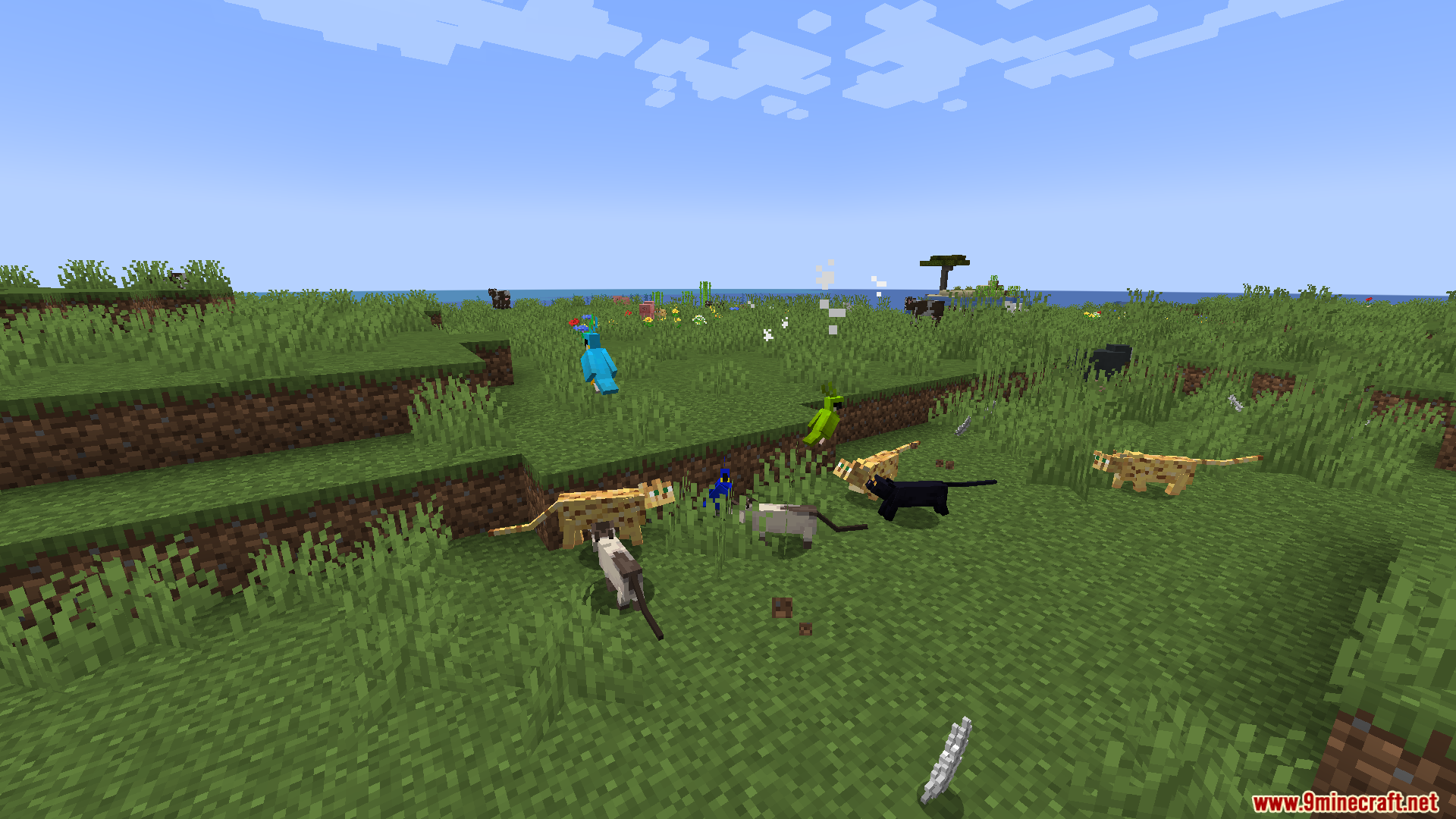 Revamped Cats Mod (26.1.2, 1.20.1) – Better Companions 2 Revamped cats mod screenshots 01