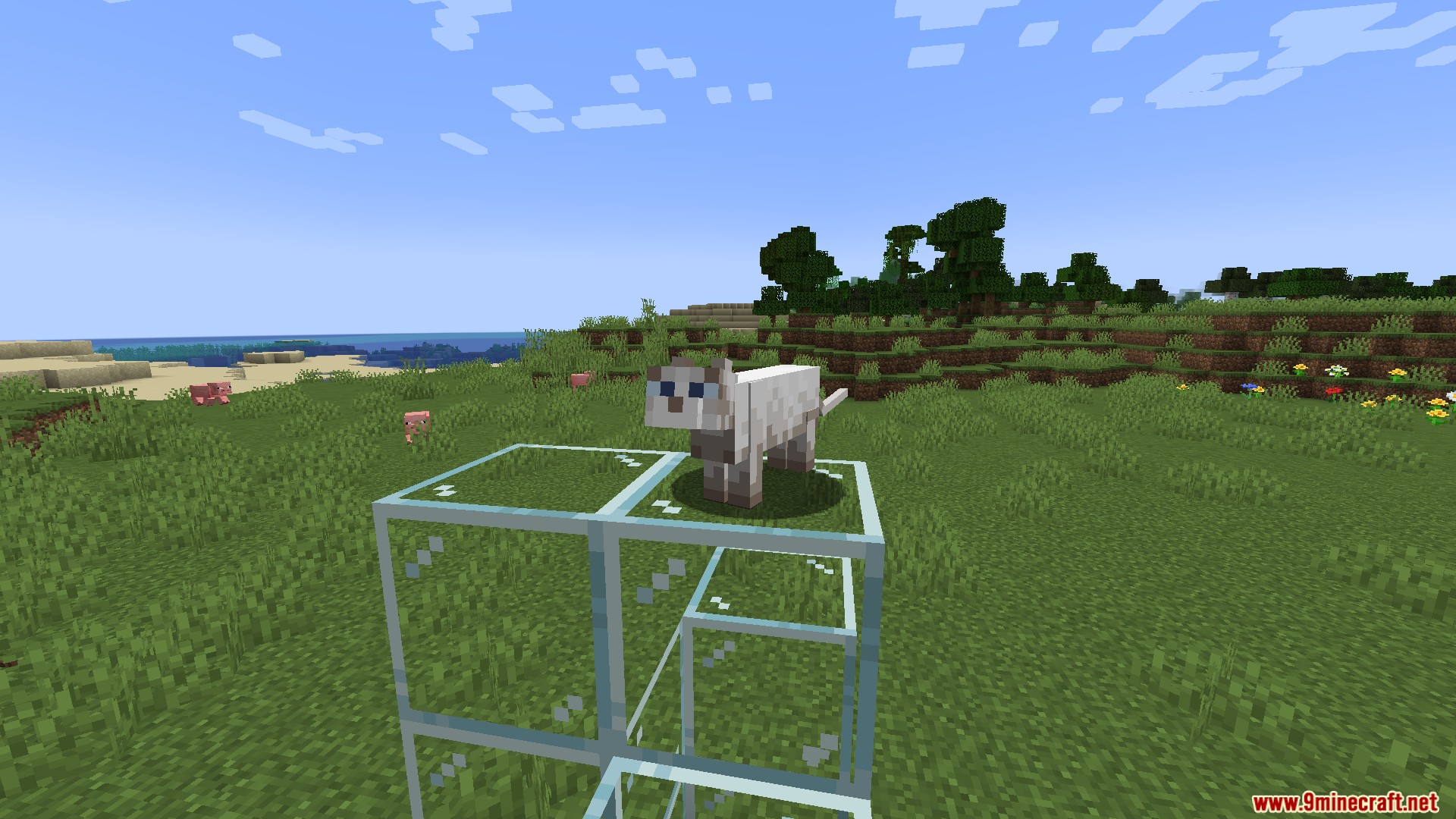 Revamped Cats Mod (26.1.2, 1.20.1) – Better Companions 3 Revamped cats mod screenshots 02