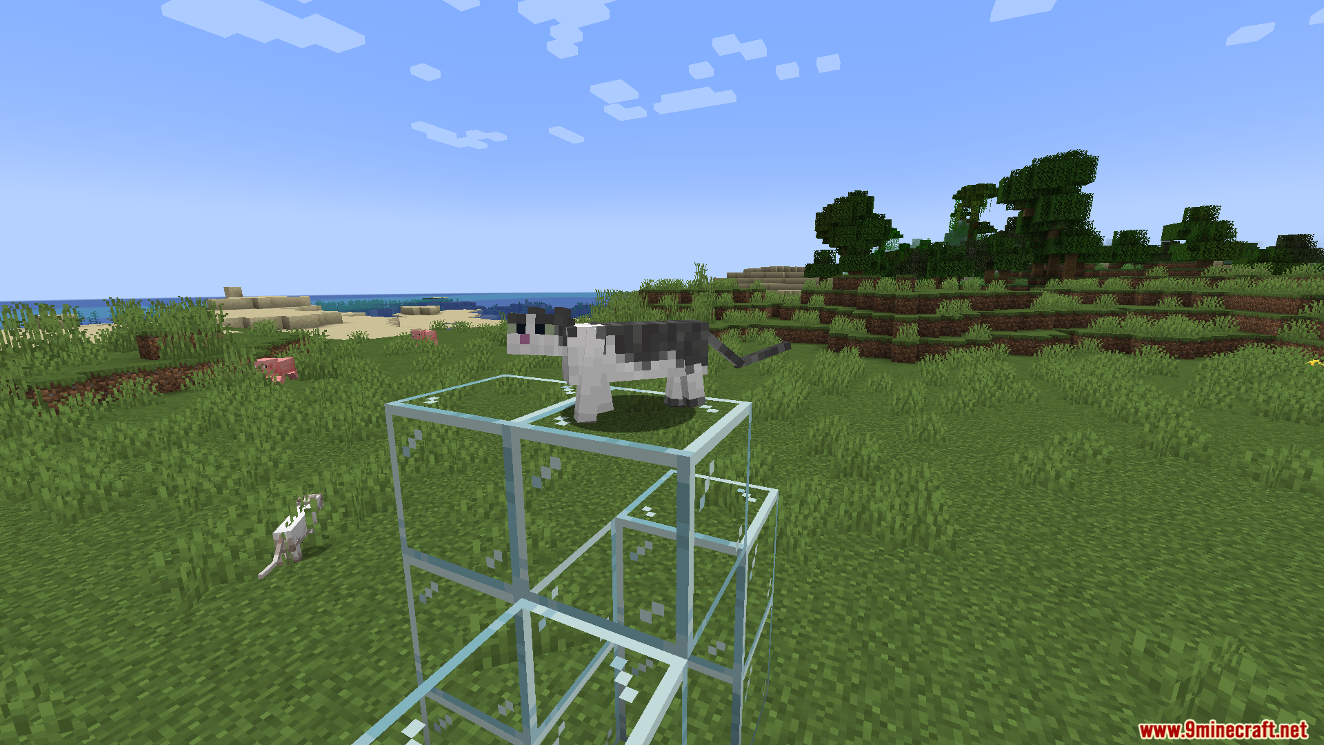 Revamped Cats Mod (26.1.2, 1.20.1) – Better Companions 4 Revamped cats mod screenshots 03