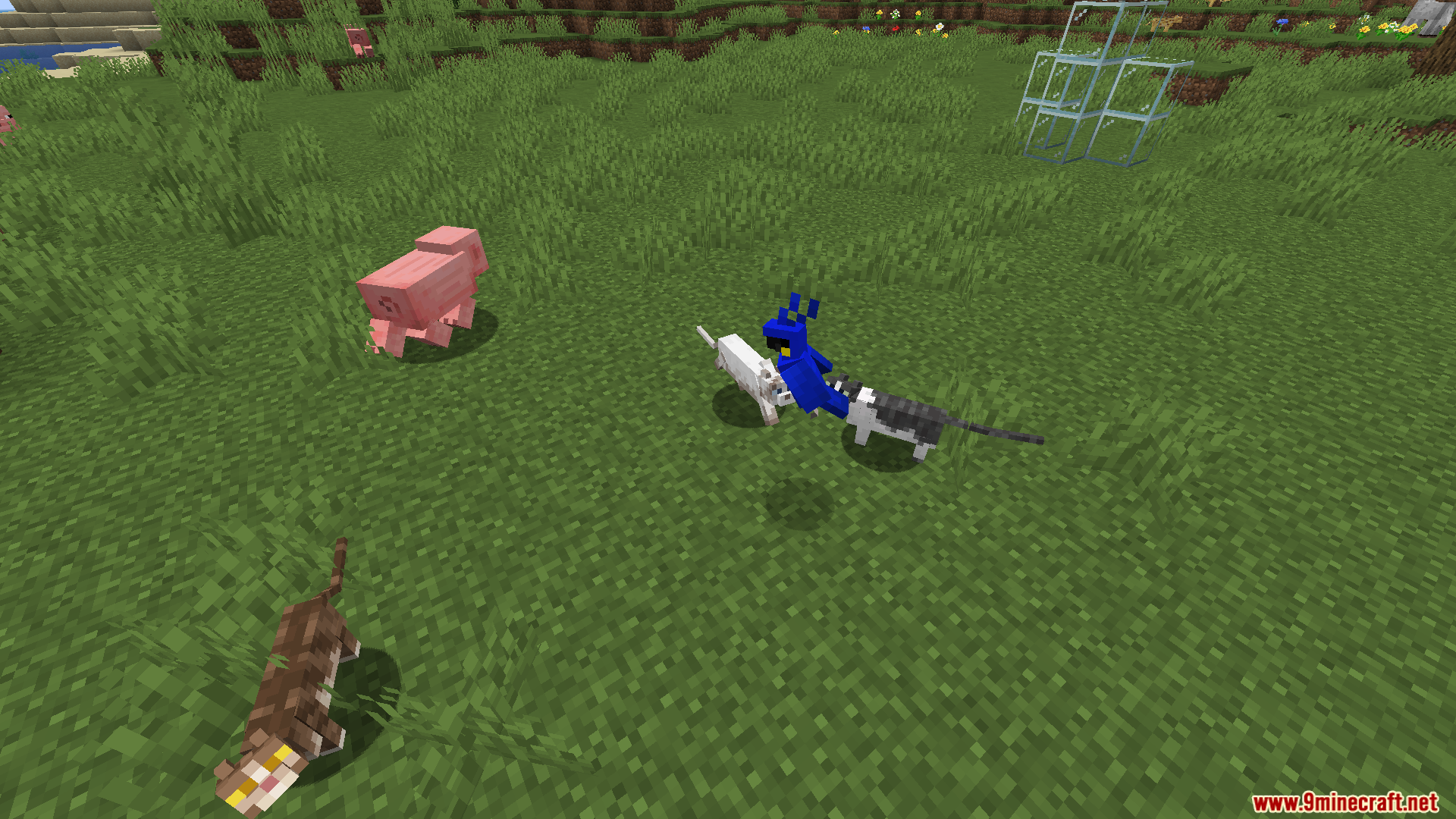 Revamped Cats Mod (26.1.2, 1.20.1) – Better Companions 5 Revamped cats mod screenshots 04