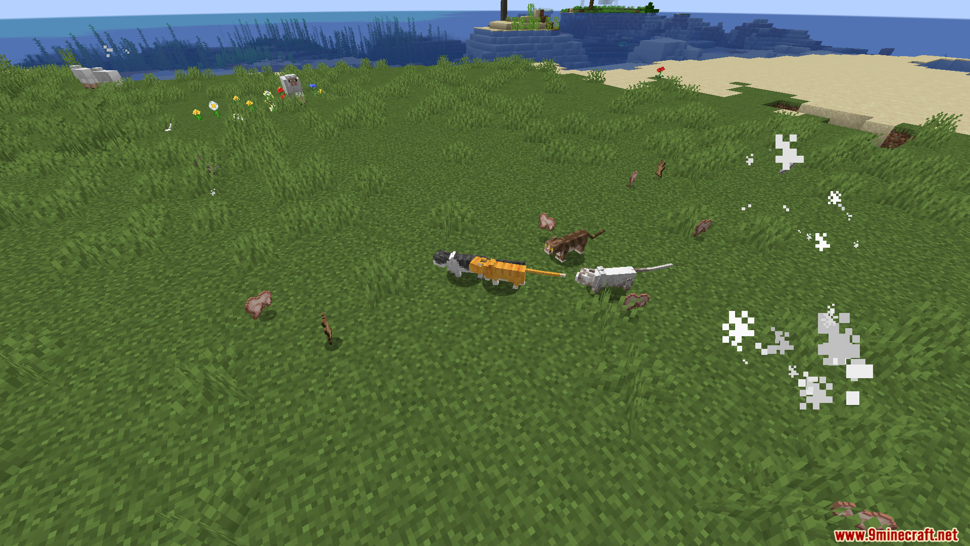 Revamped Cats Mod (26.1.2, 1.20.1) – Better Companions 6 Revamped cats mod screenshots 05