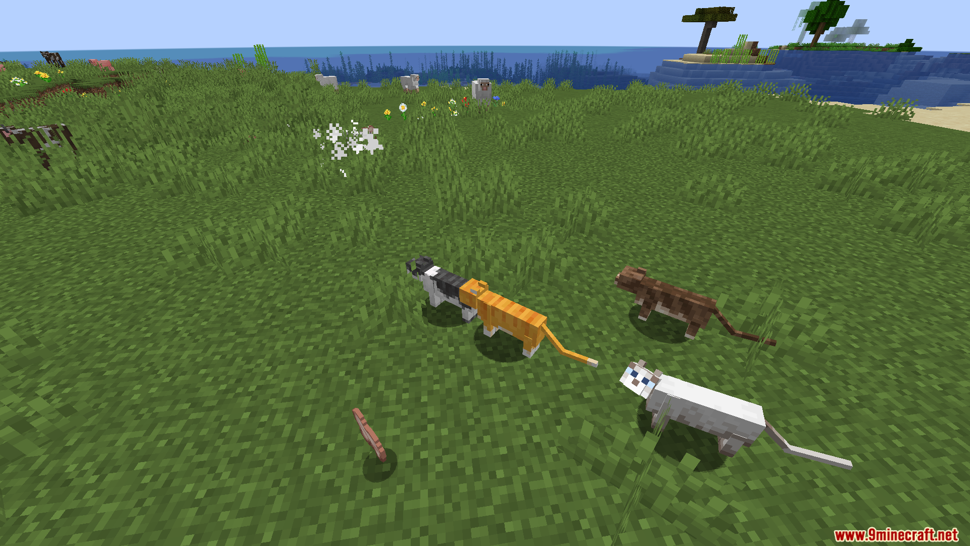 Revamped Cats Mod (26.1.2, 1.20.1) – Better Companions 7 Revamped cats mod screenshots 06