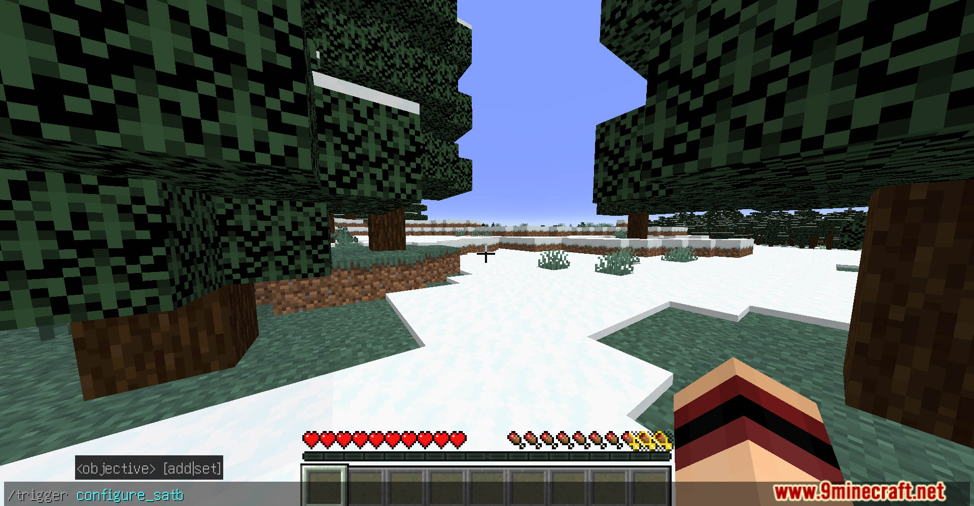 Satb Data Pack (26.1.2, 1.20.1) – Visualize Your Vital Stats 2 Satb data pack screenshots