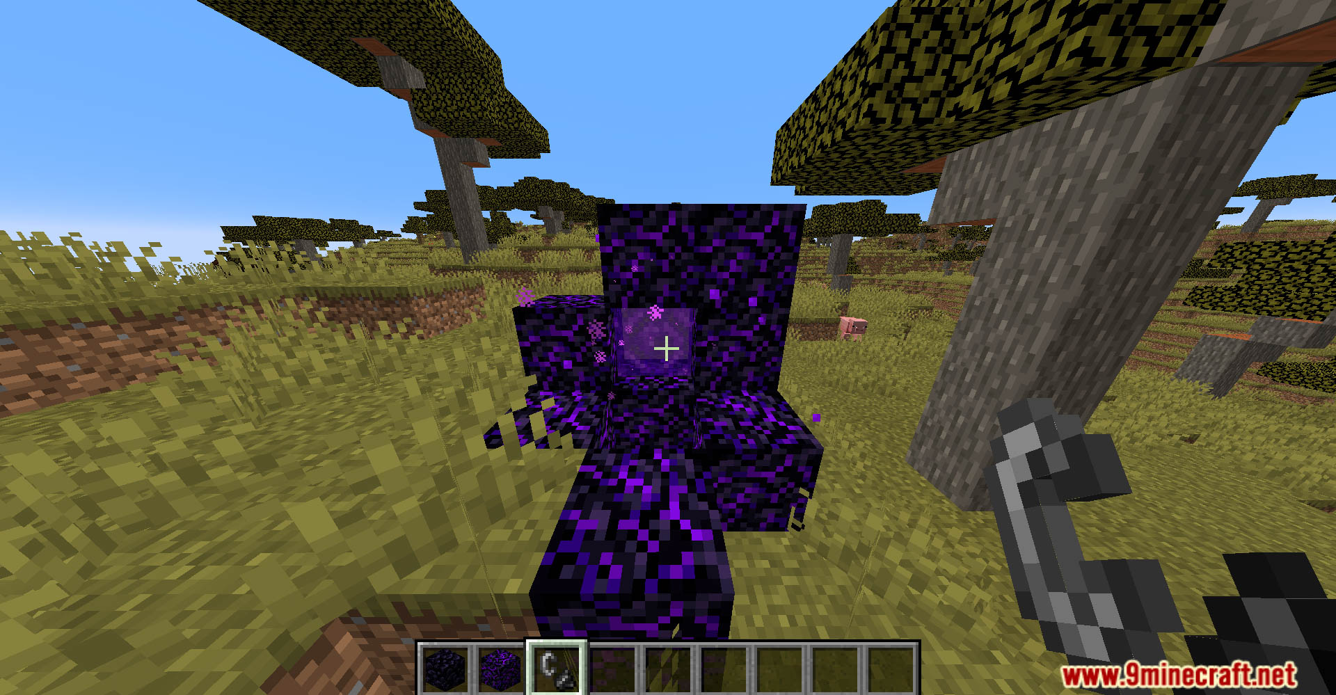 Shapeless Portals Data Pack (26.1.2, 1.20.1) – Redefine Your Nether Portals 6 Shapeless portals data pack screenshots 5
