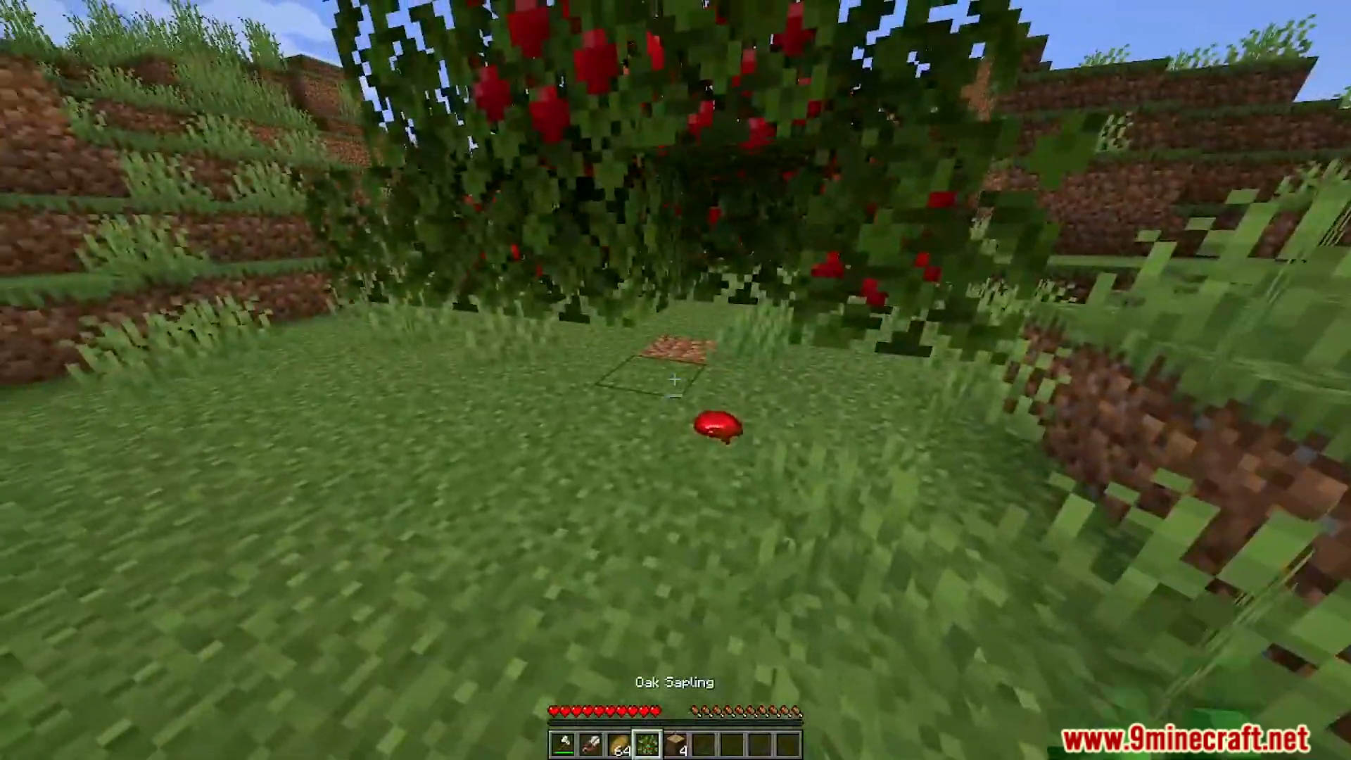 Simple Apple Trees Data Pack (26.1.1, 1.21.1) – Harvest Apples Straight From Trees 4 Simple apple trees data pack screenshots 3