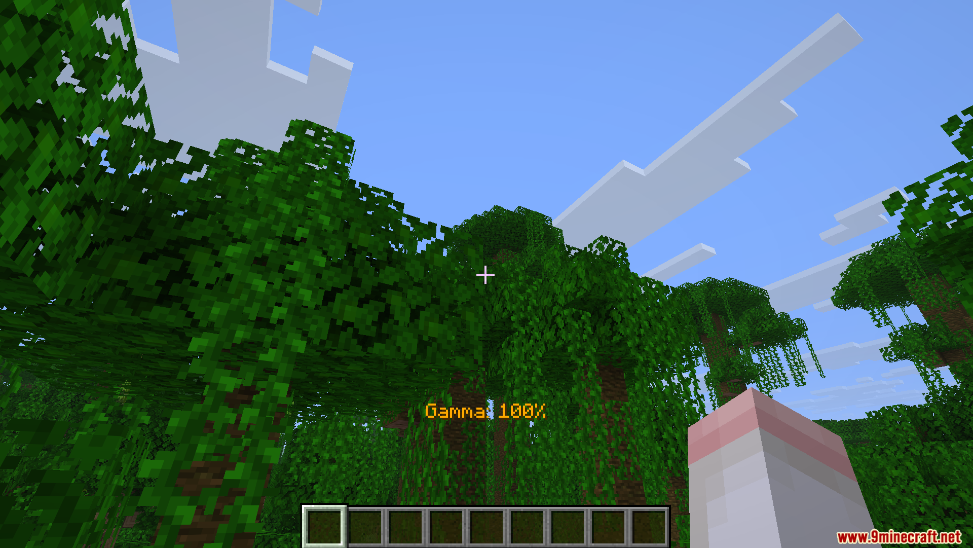 Simple Fullbright Mod (26.1.1, 1.20.1) – Fullbright Toggle 3 Simple fullbright mod screenshots 02