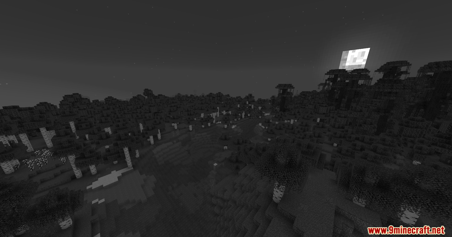 Simple Grayscale Shaders (26.1.2, 1.20.1) – Black And White Visual Shader 8 Simple grayscale shaders screenshots 7