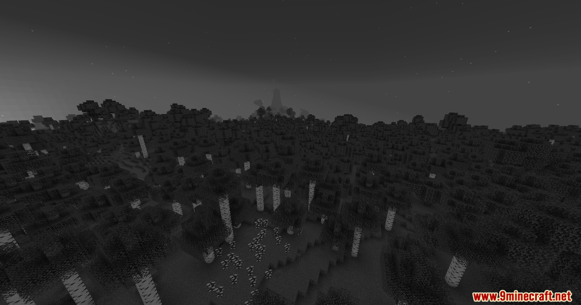 Simple Grayscale Shaders (26.1.2, 1.20.1) – Black And White Visual Shader 9 Simple grayscale shaders screenshots 8