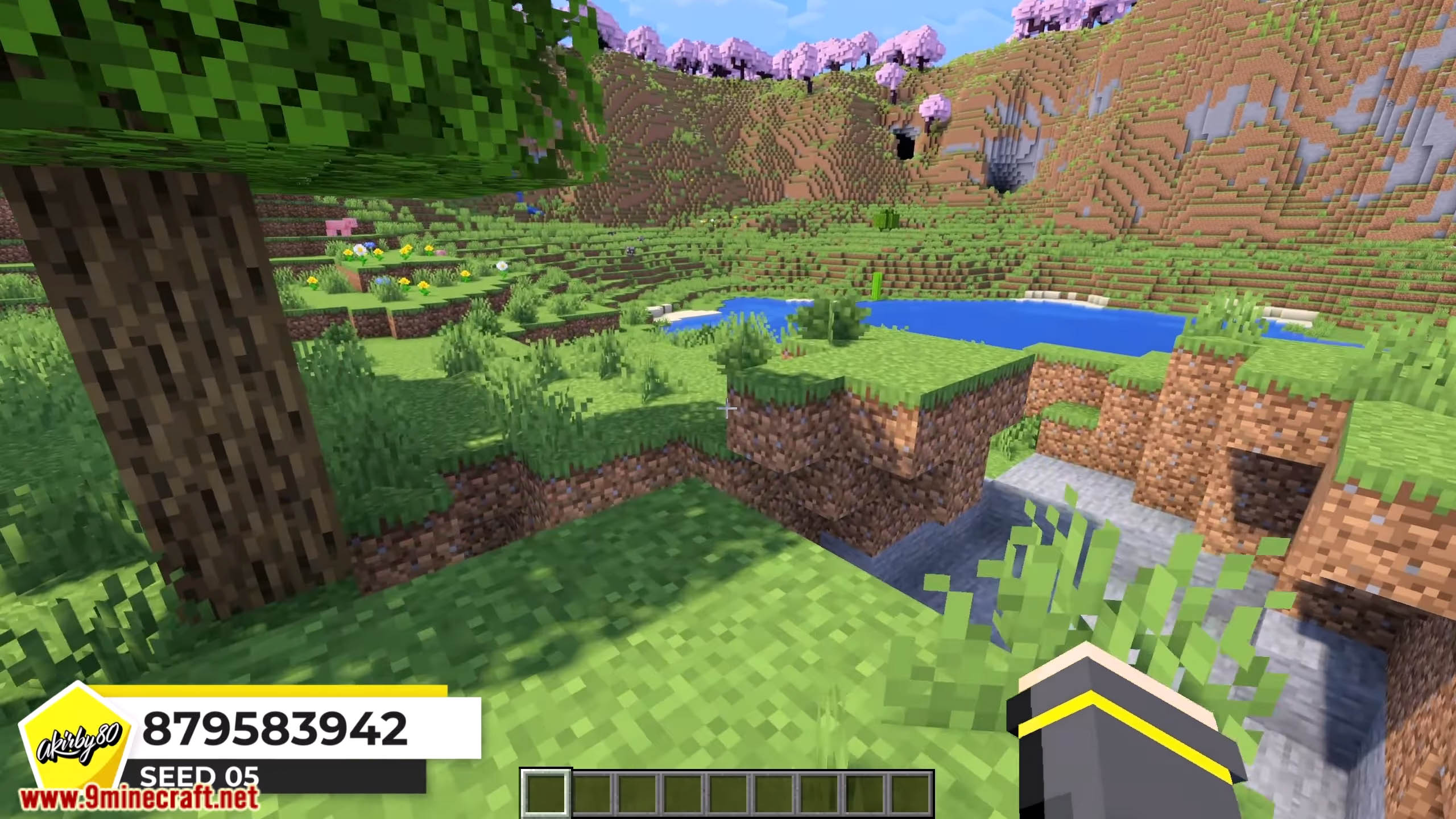 Top 10 Best New Seeds Lately For Minecraft (1.21.11, 1.21.1) – Java ...