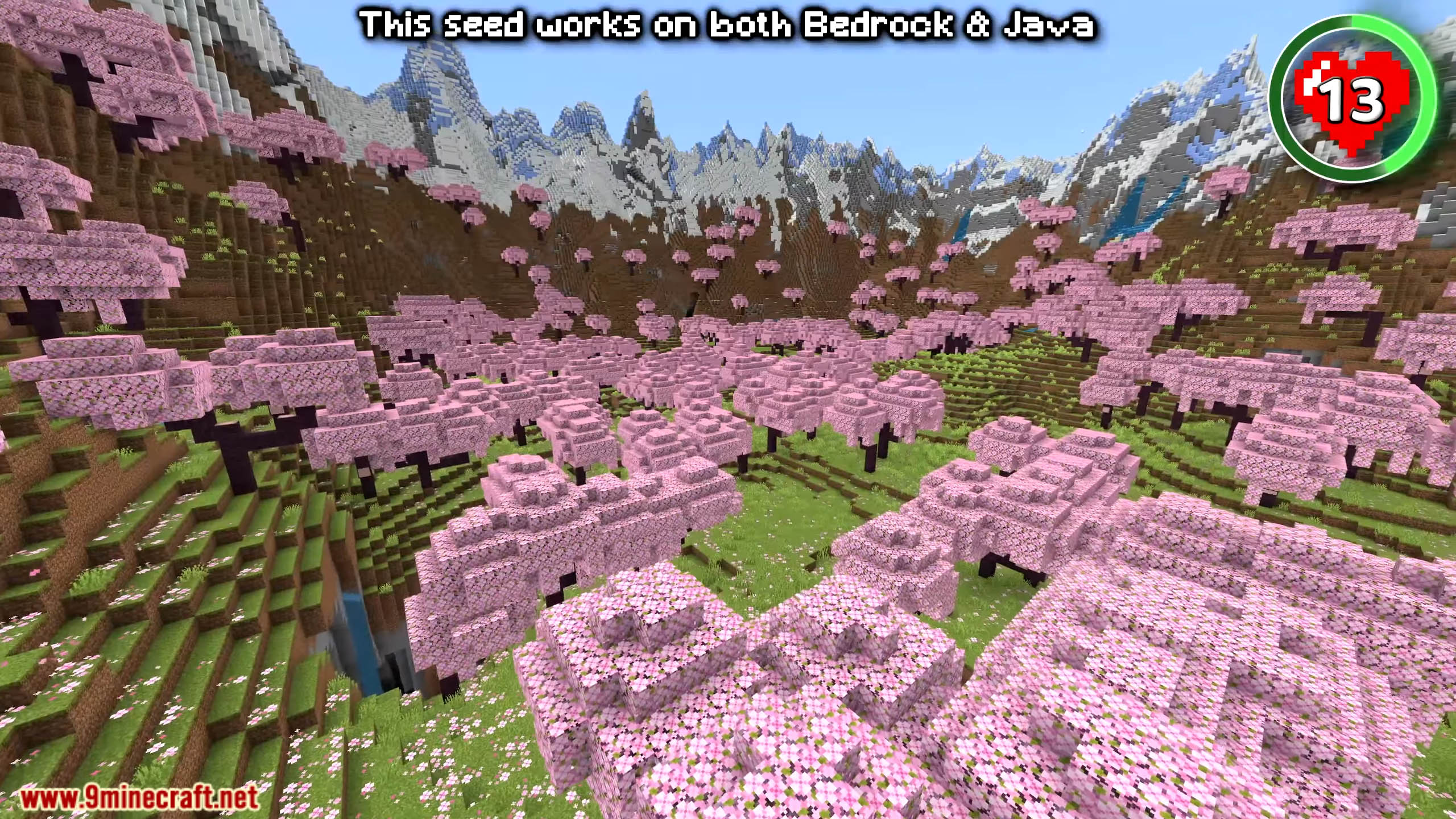Top 20 Best Seeds For Minecraft (26.1.2, 1.21.1) – Java, Bedrock Edition 27 Top 20 best seeds for minecraft screenshots 16