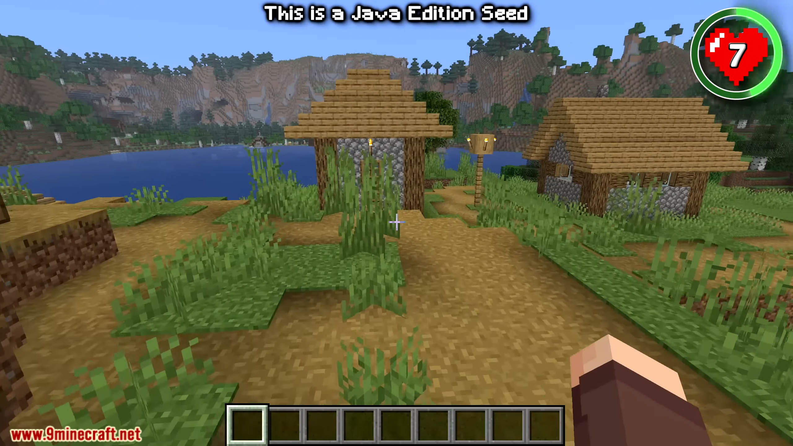 Top 20 Best Seeds For Minecraft (26.1.2, 1.21.1) – Java, Bedrock Edition 15 Top 20 best seeds for minecraft screenshots 28