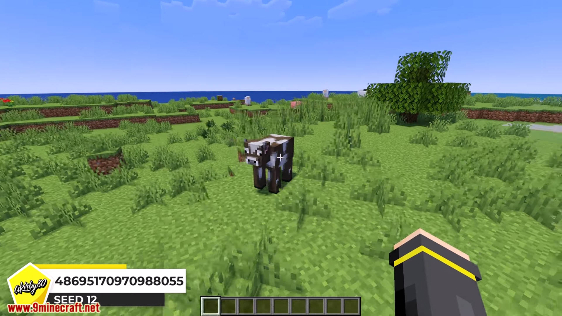 Top 20 new survival island seeds for minecraft thumbnail 18